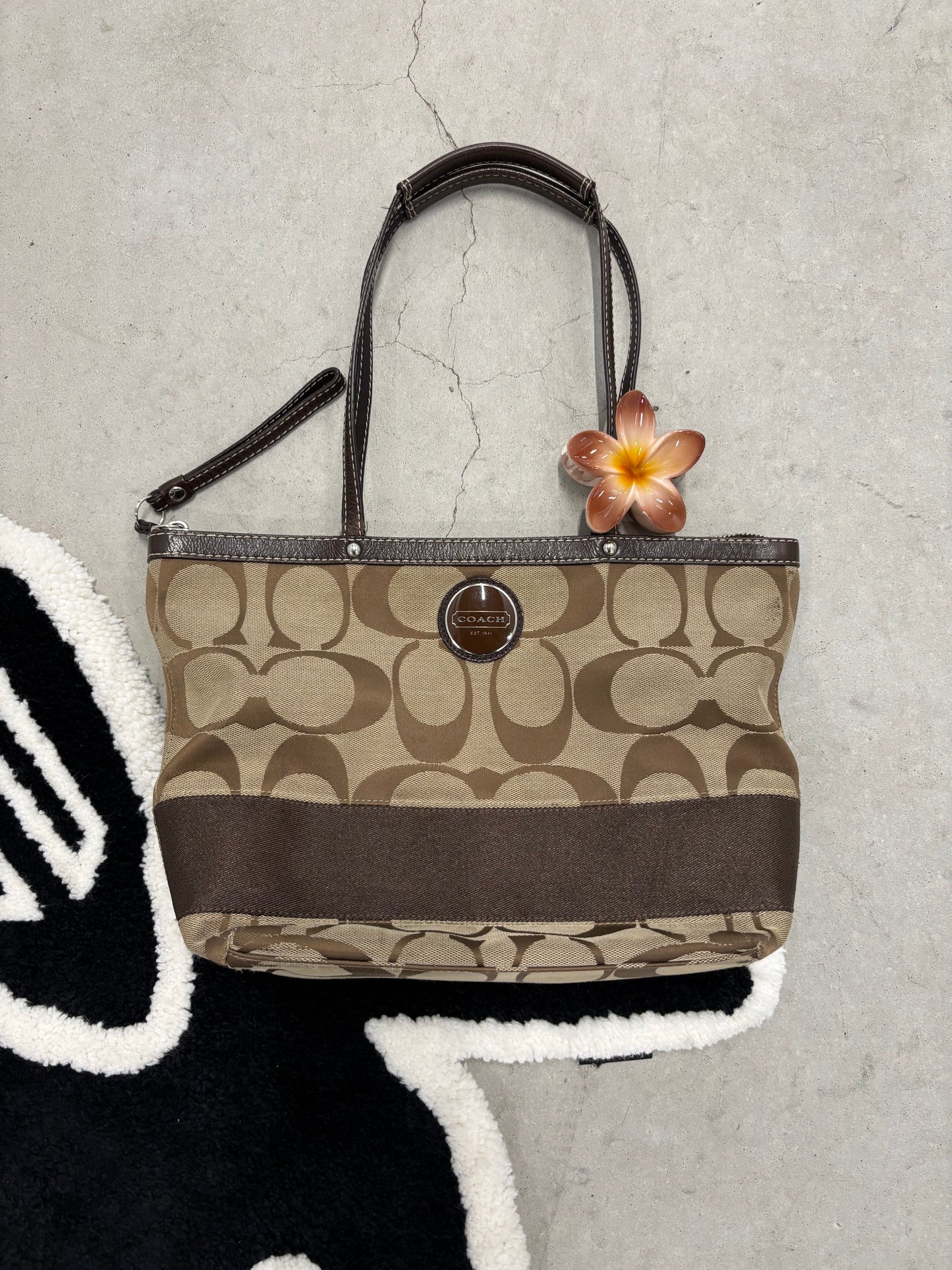 Coach Signature Canvas Tote (Day 2)