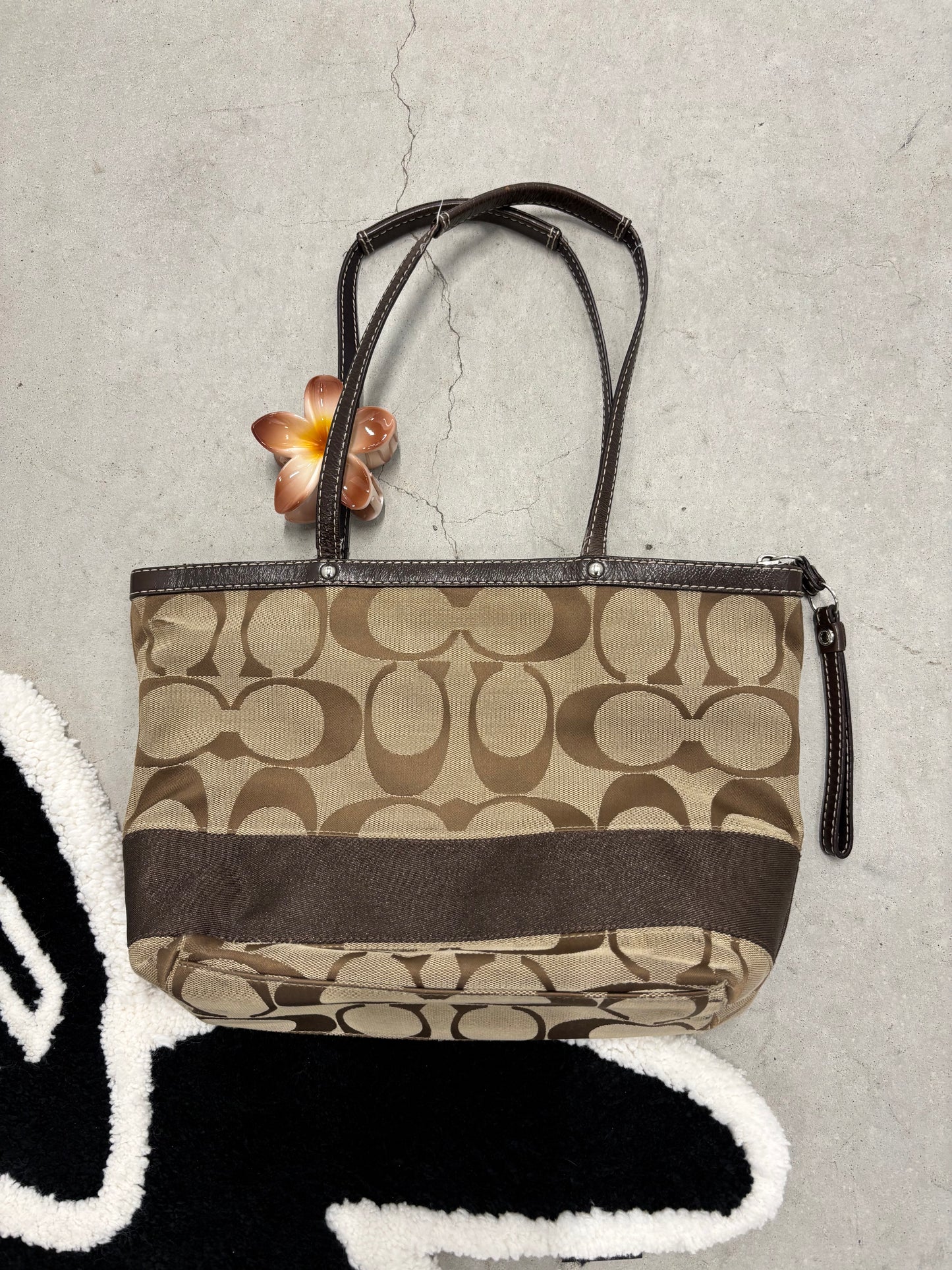 Coach Signature Canvas Tote (Day 2)